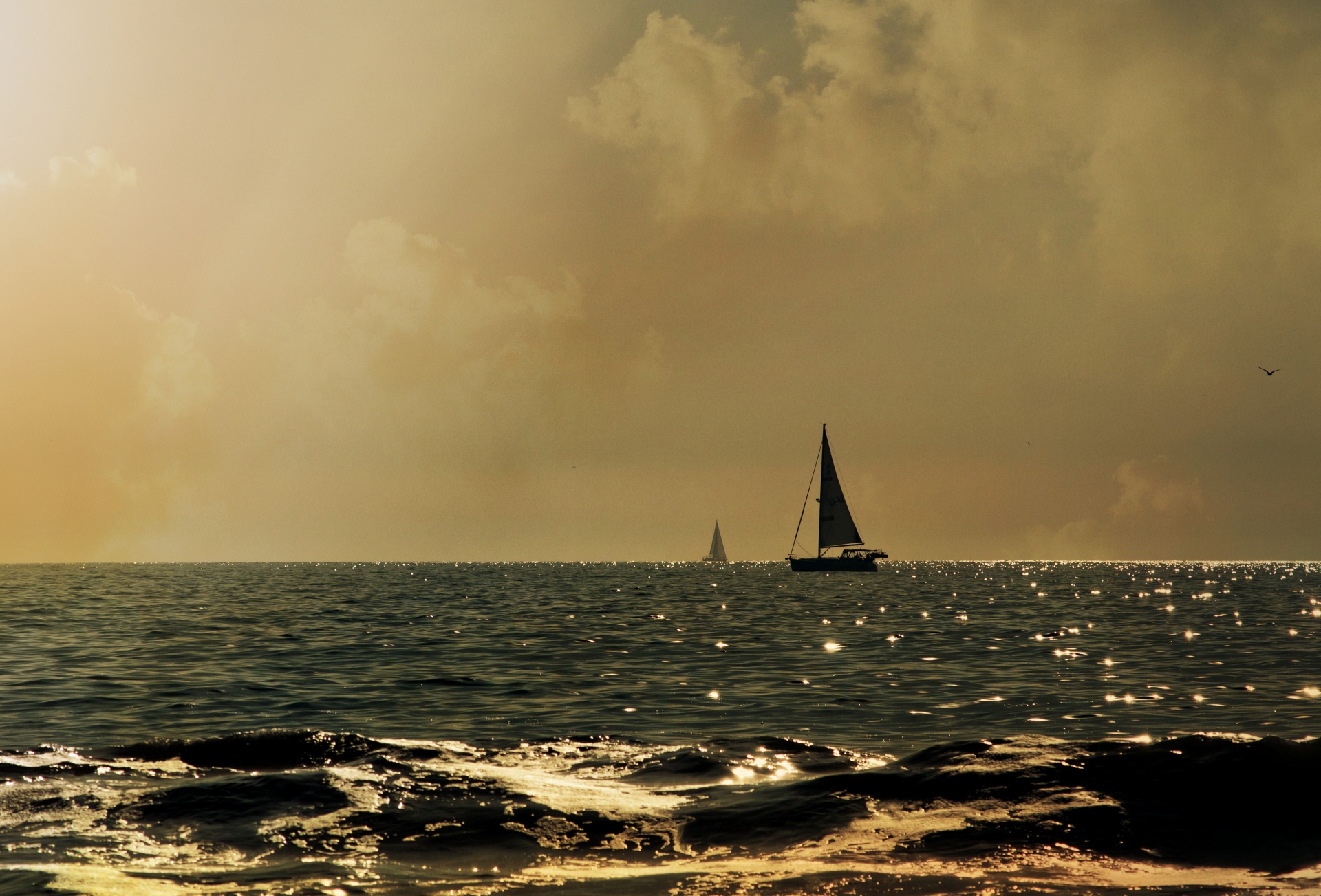 sailboat sail sunset free photo