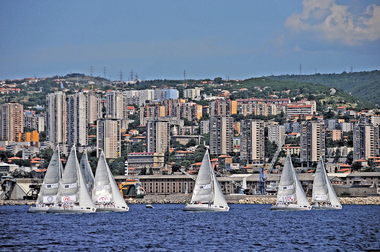 sailing regatta sailboat free photo