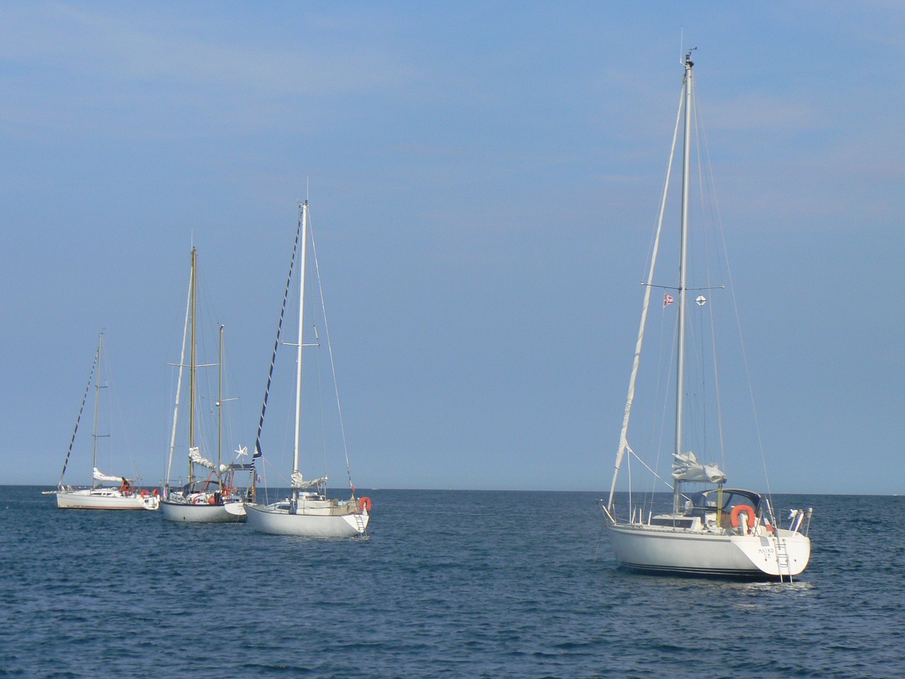 sailing sea boat free photo