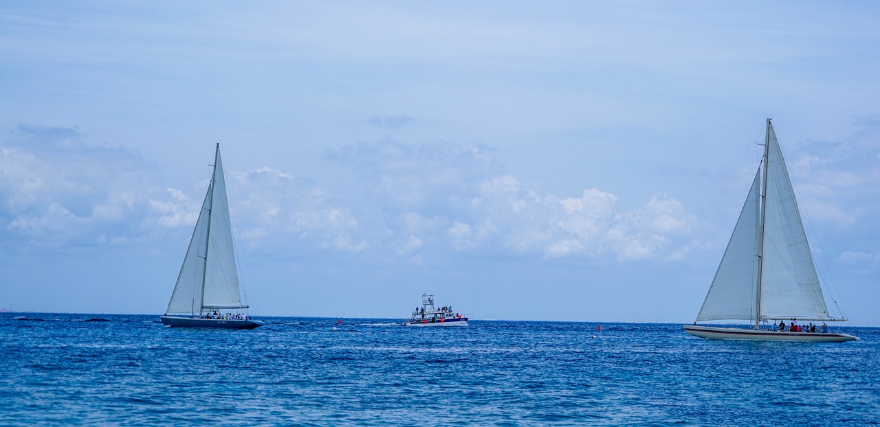 sailing sail boats sea free photo