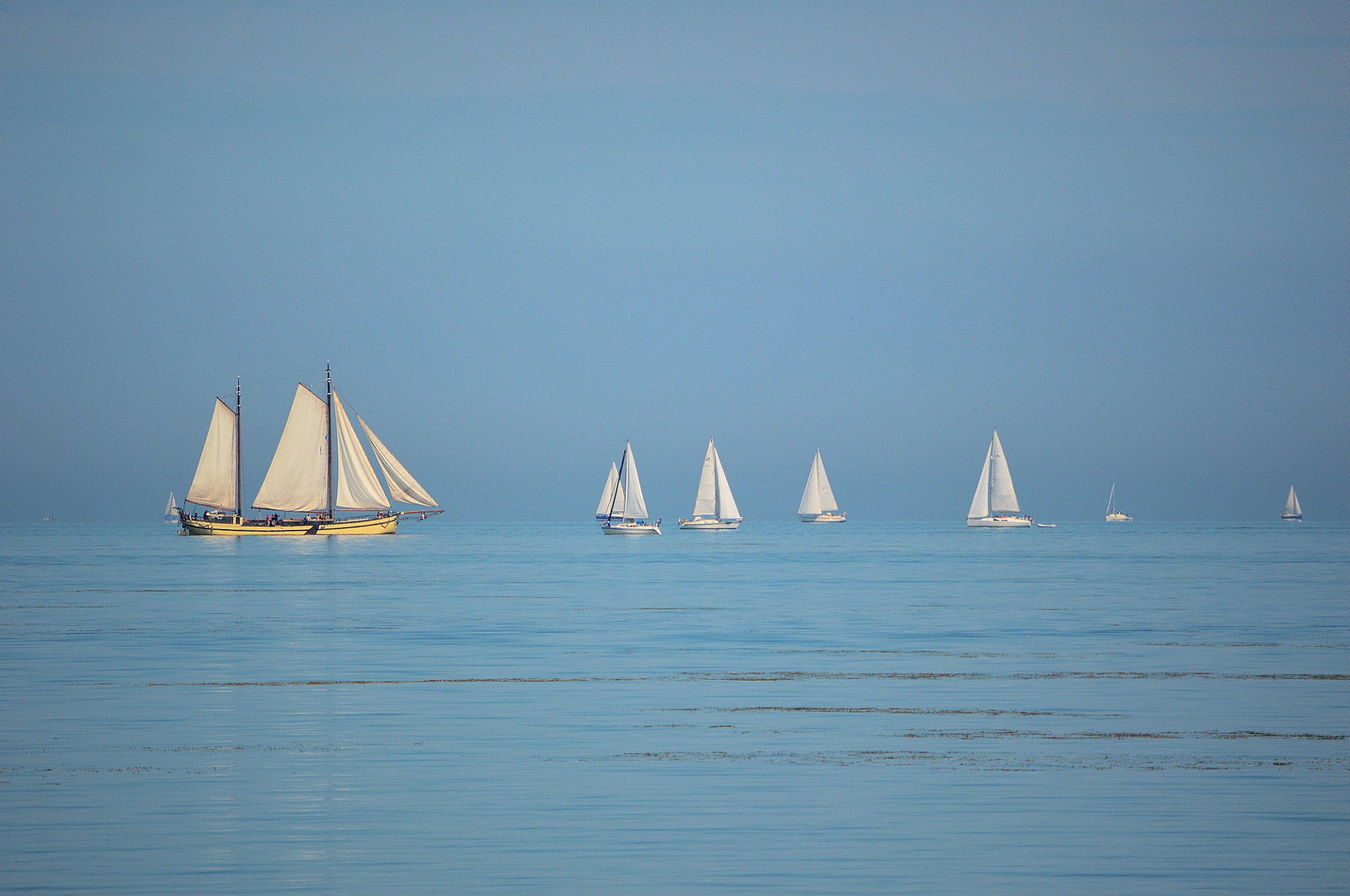 sail sailing ship free photo