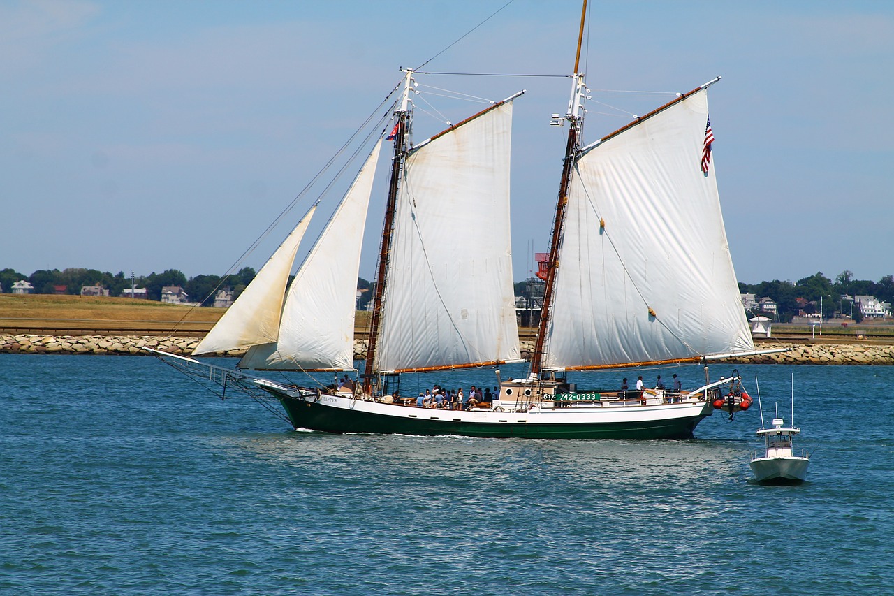 sailing schooner boston harbor free photo
