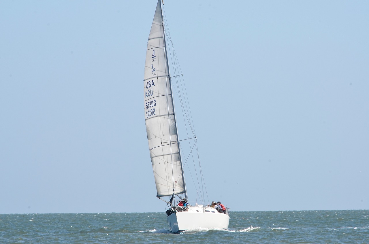 sailing sailboat water free photo