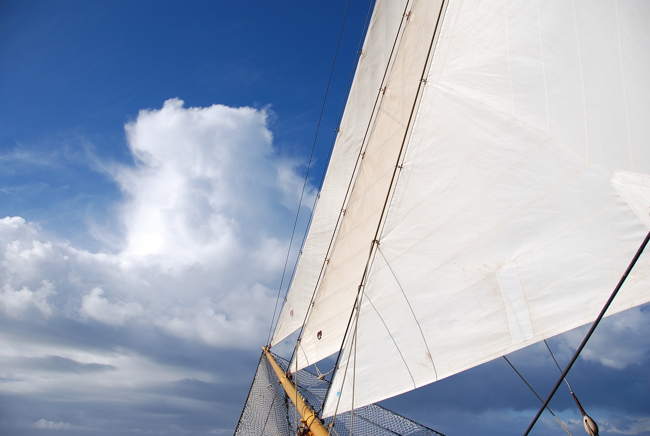 sailing boat sail free photo