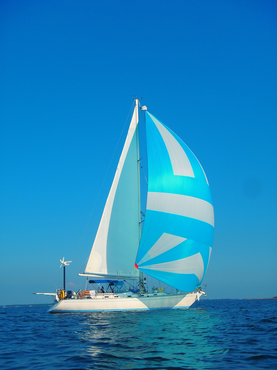 sailing spinnaker cruising free photo
