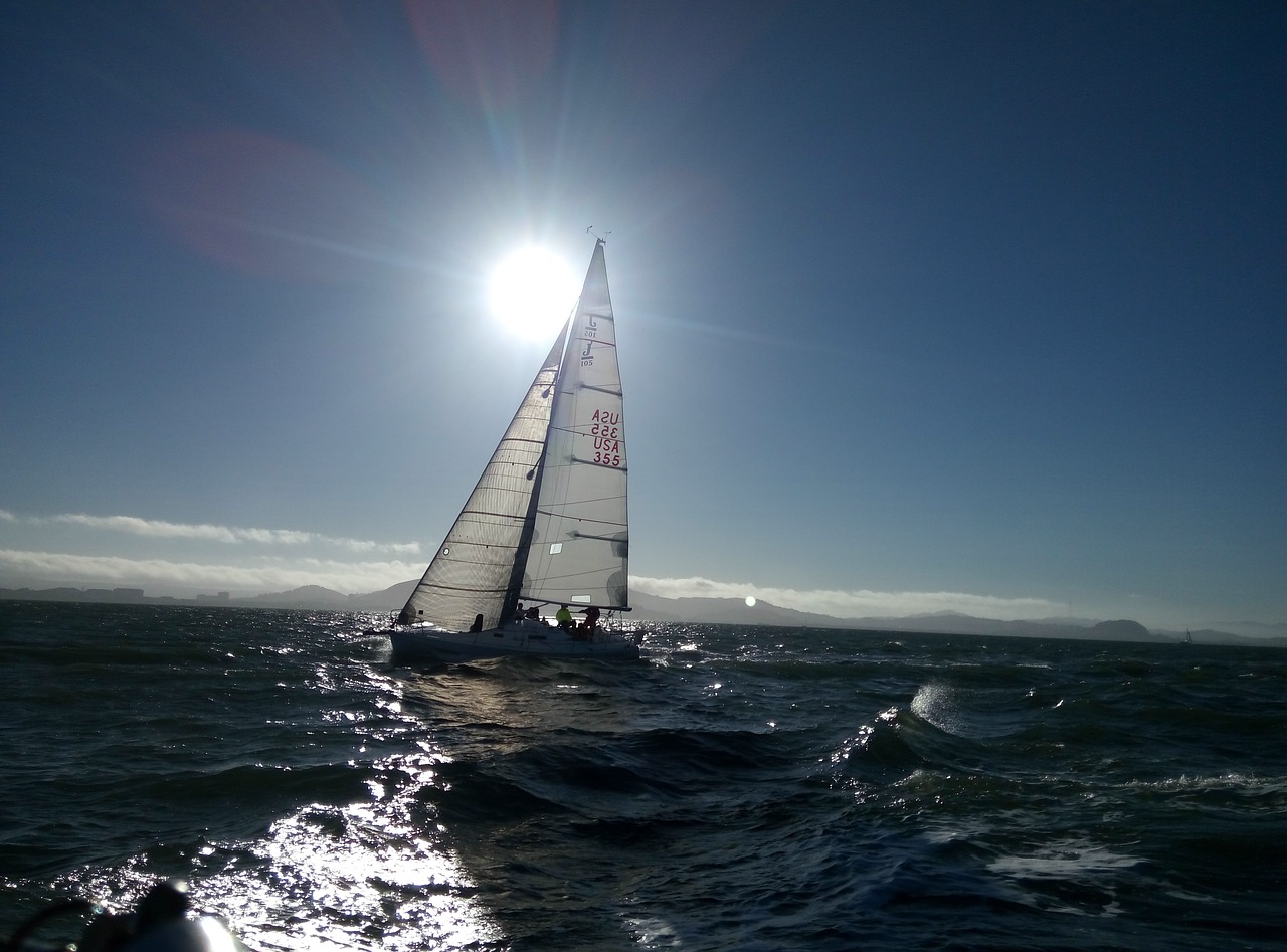 sailing racing regatta free photo