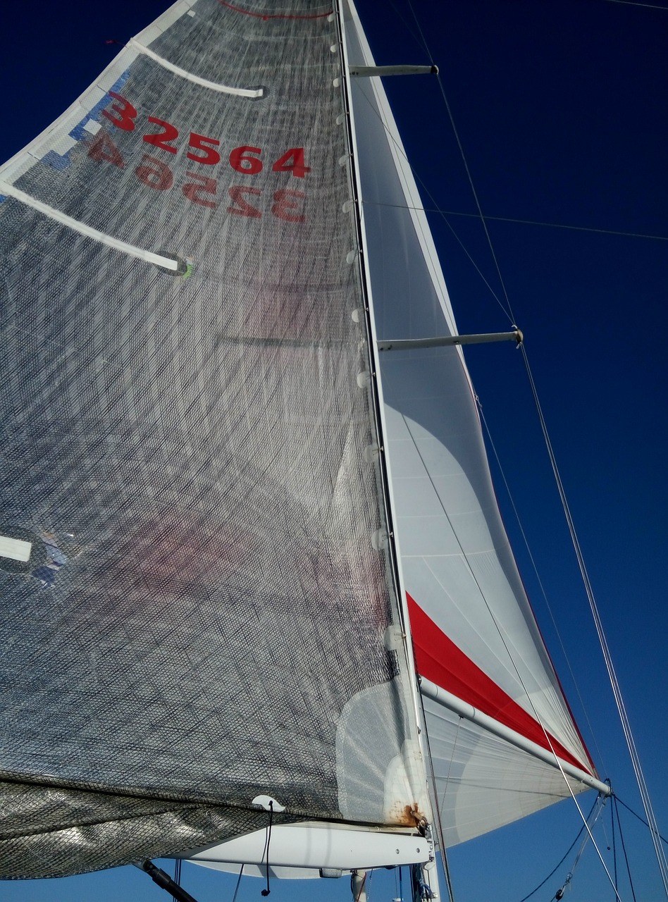 sailing racing regatta free photo