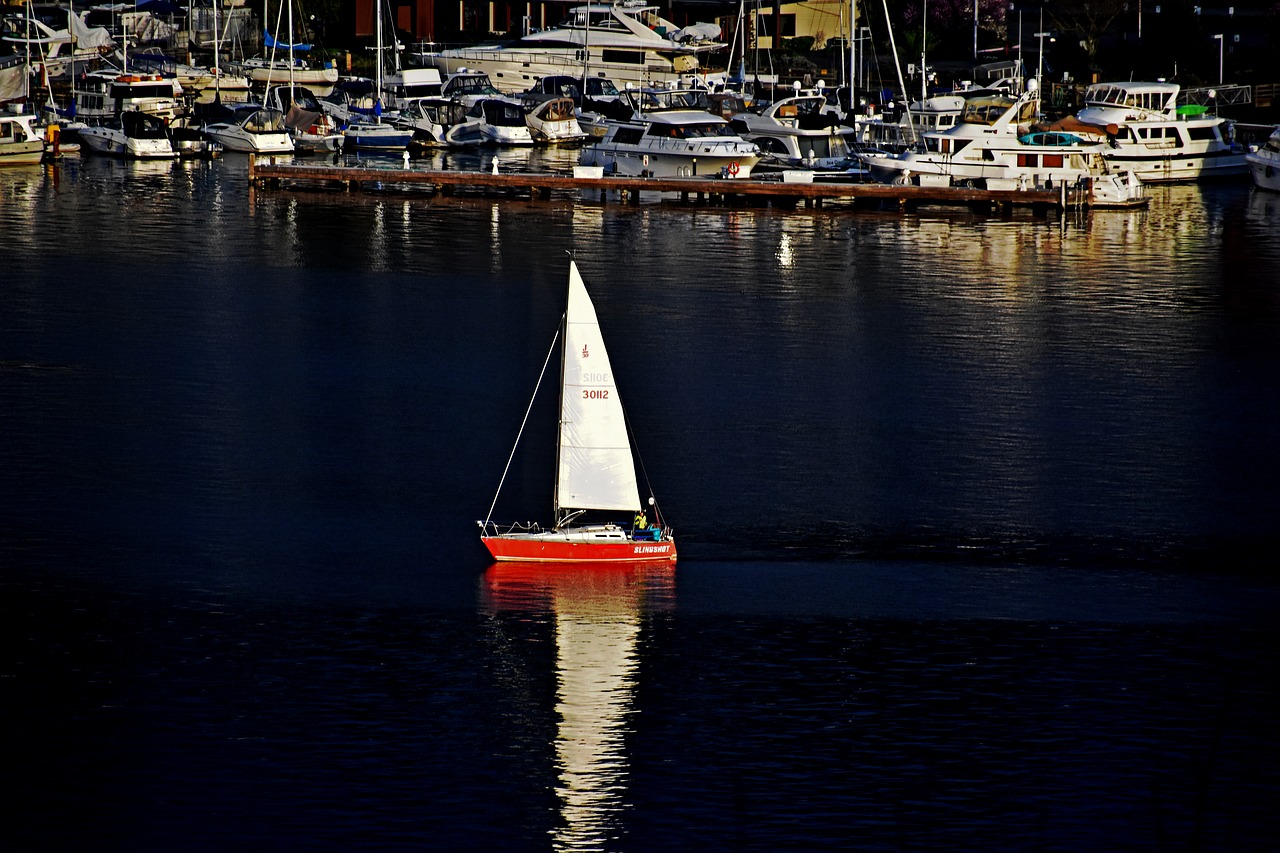sailing sailing boat sailor free photo