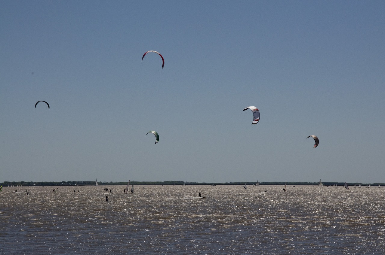 sailing river sport free photo