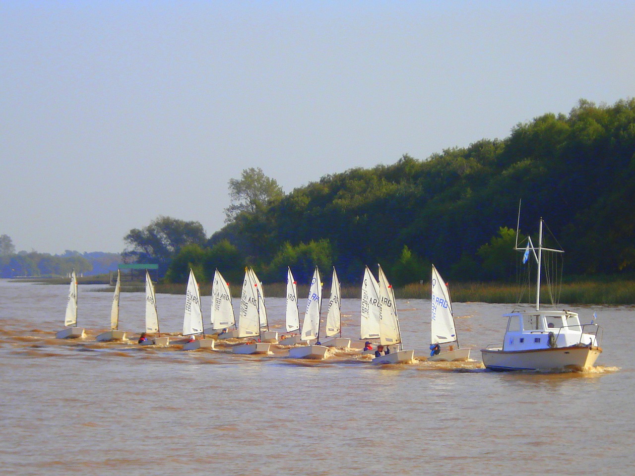 sailing sailing boat river free photo