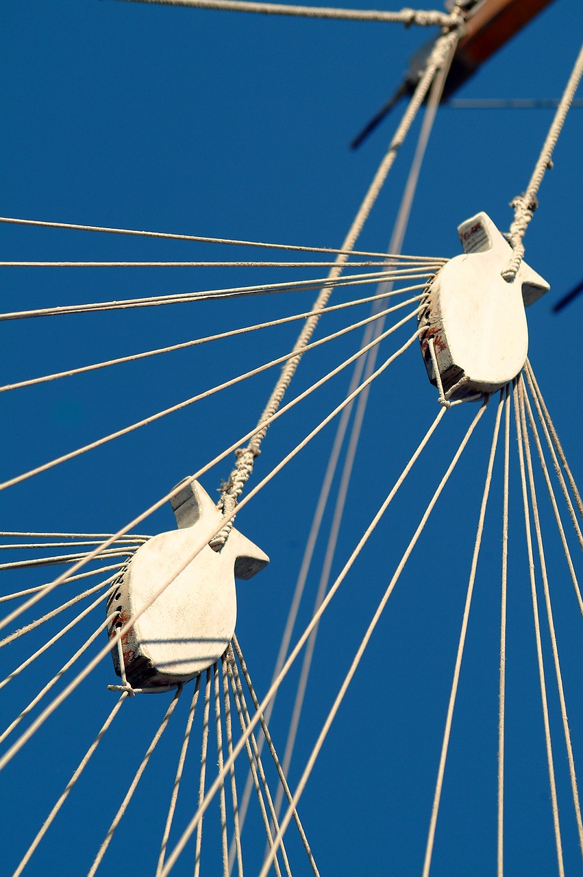 sailing  ropes  sailing boat free photo