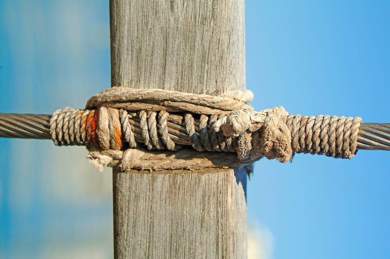 sailing  sail  sailing boat free photo