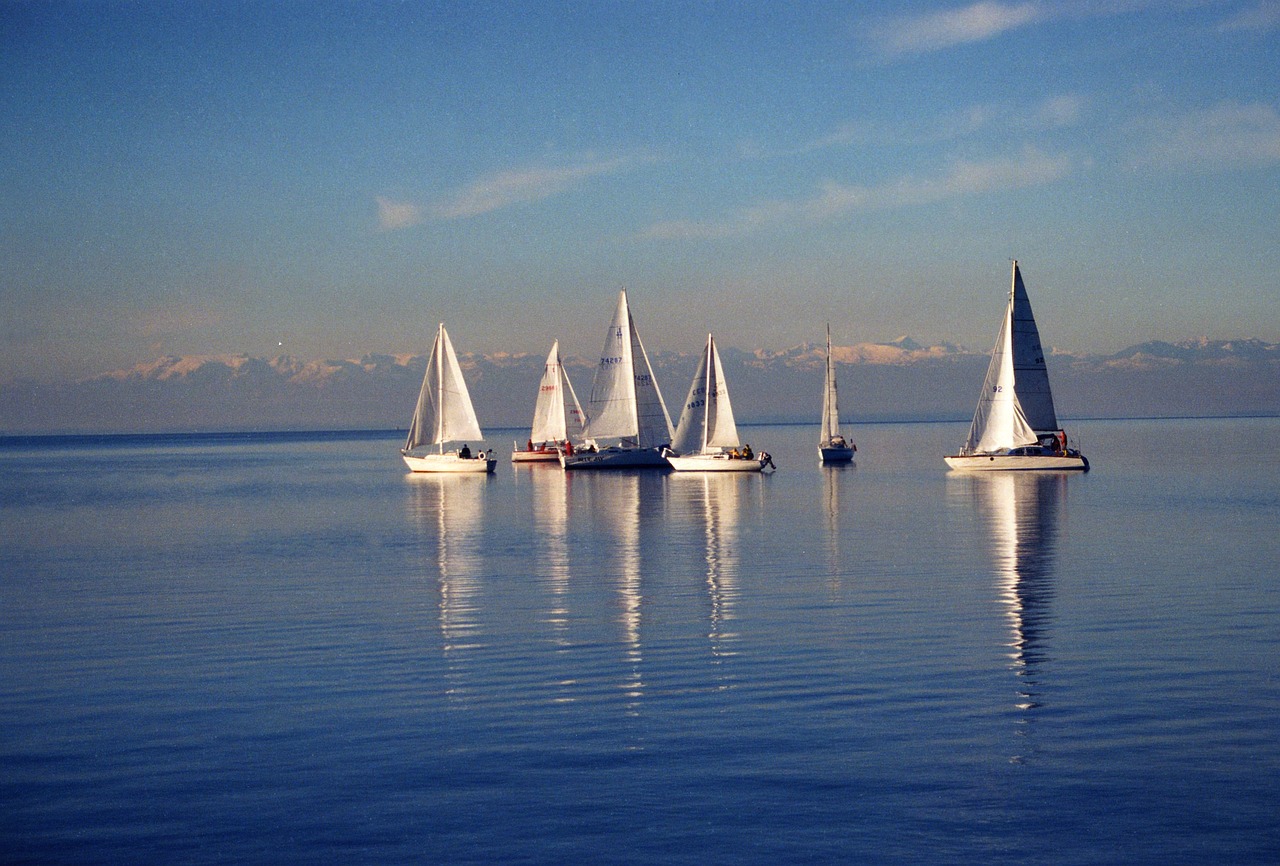 sailing  sailboats  sea free photo