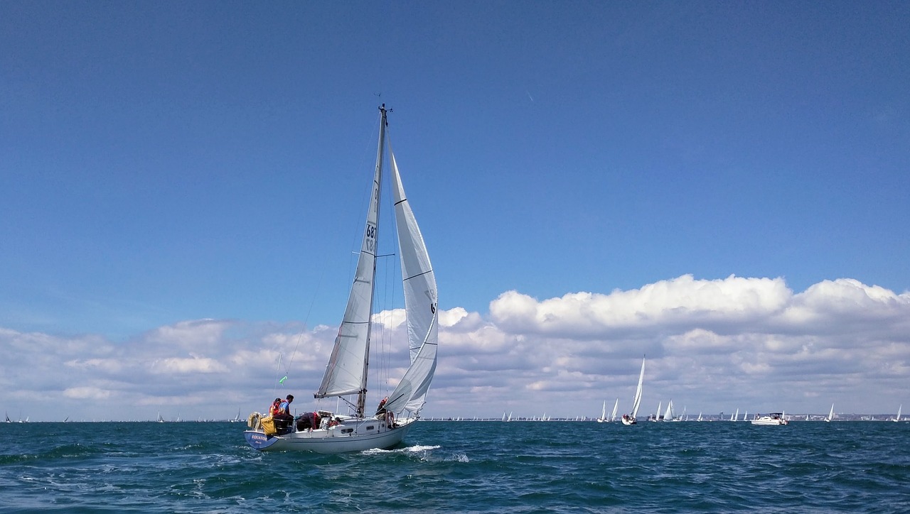 sailing  racing  ocean free photo