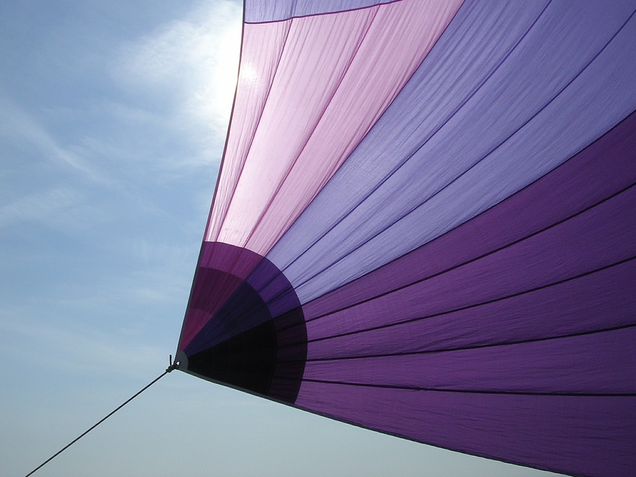 sailing sailboat violet free photo