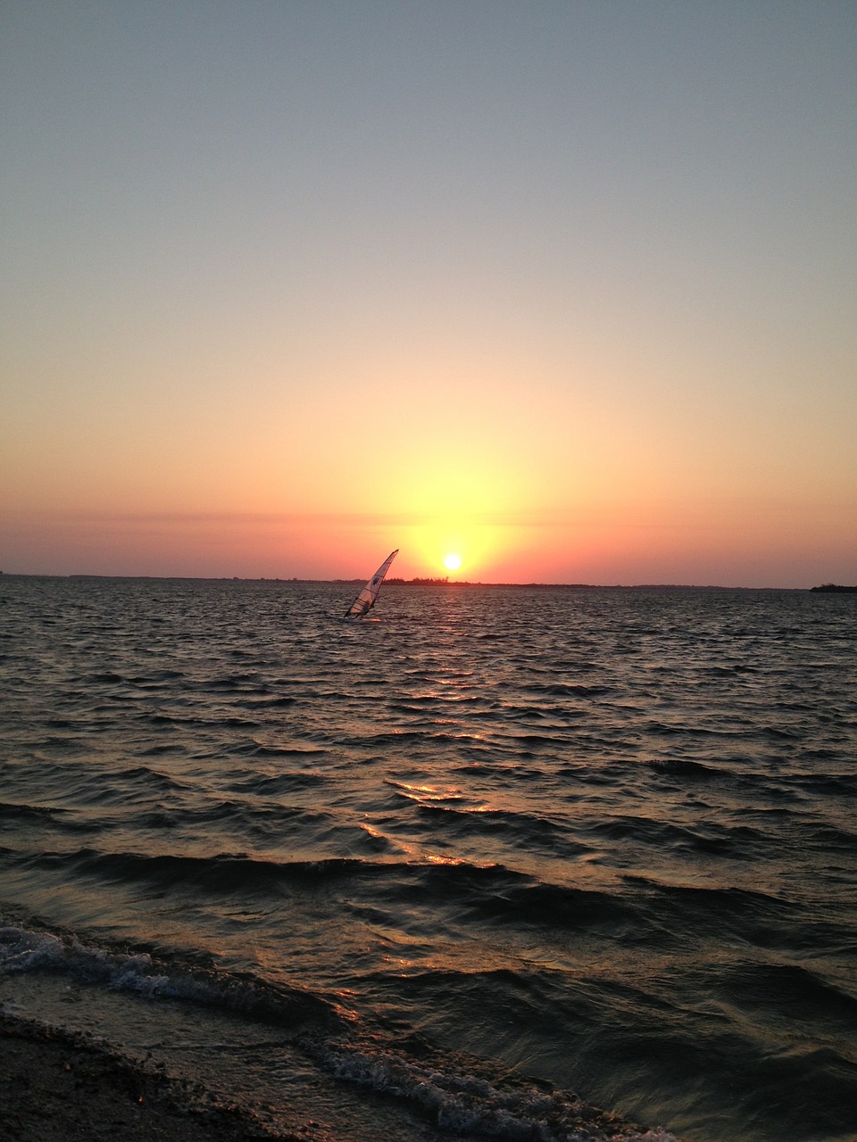 sailing sunset ocean free photo