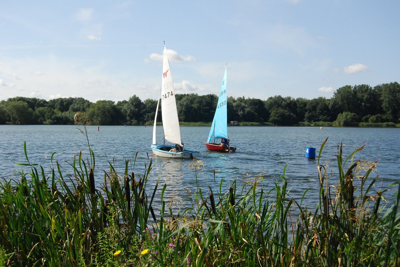 sailing boating sail free photo