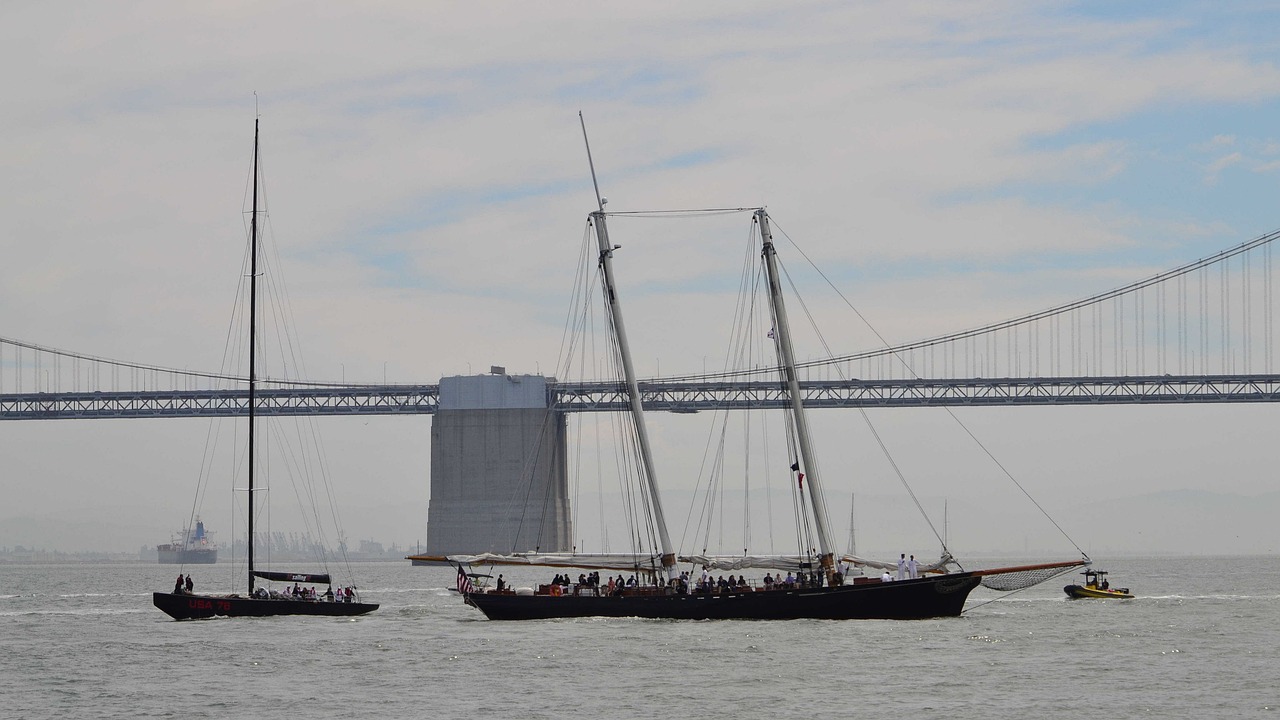 sailing  san francisco  bay bridge free photo