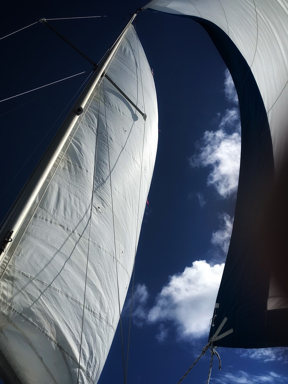 sailboat mainsail jib