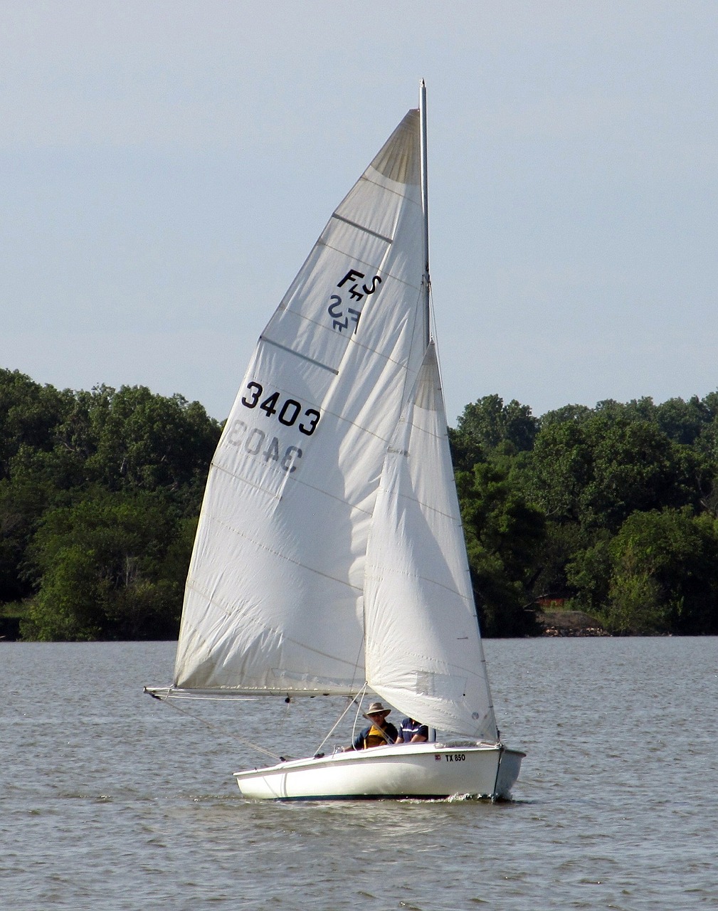 sailing sailboat lake free photo