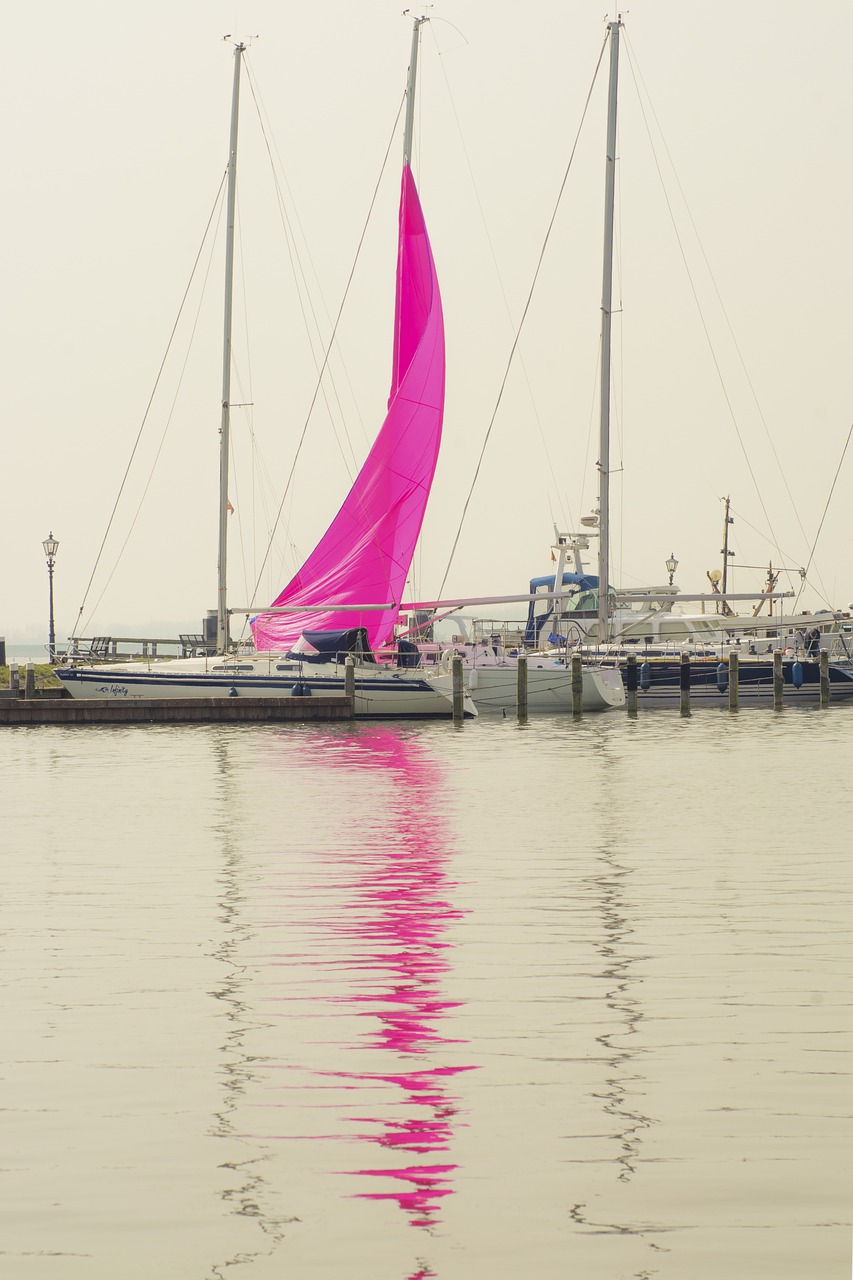 sailing  water  sailing boat free photo