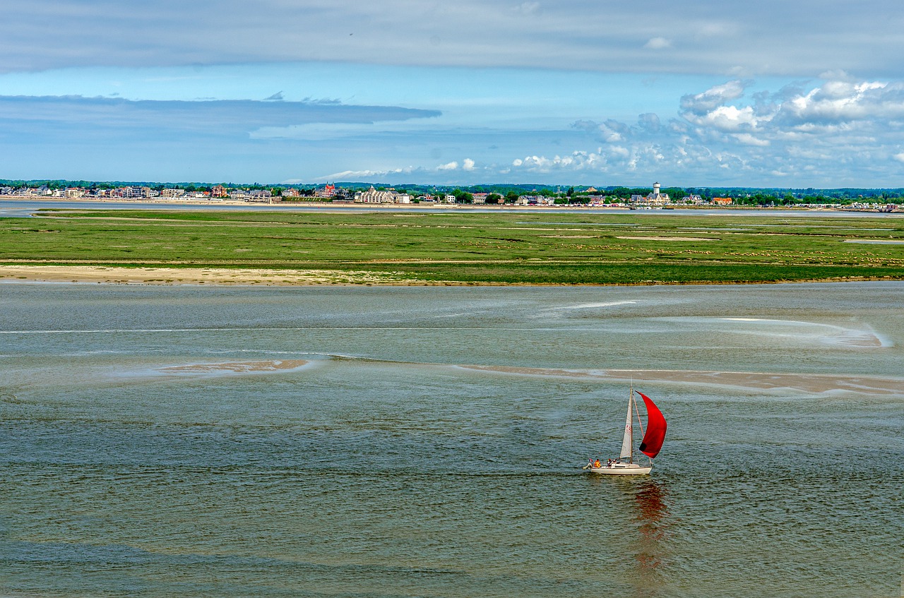 sailing  red  sailboat free photo