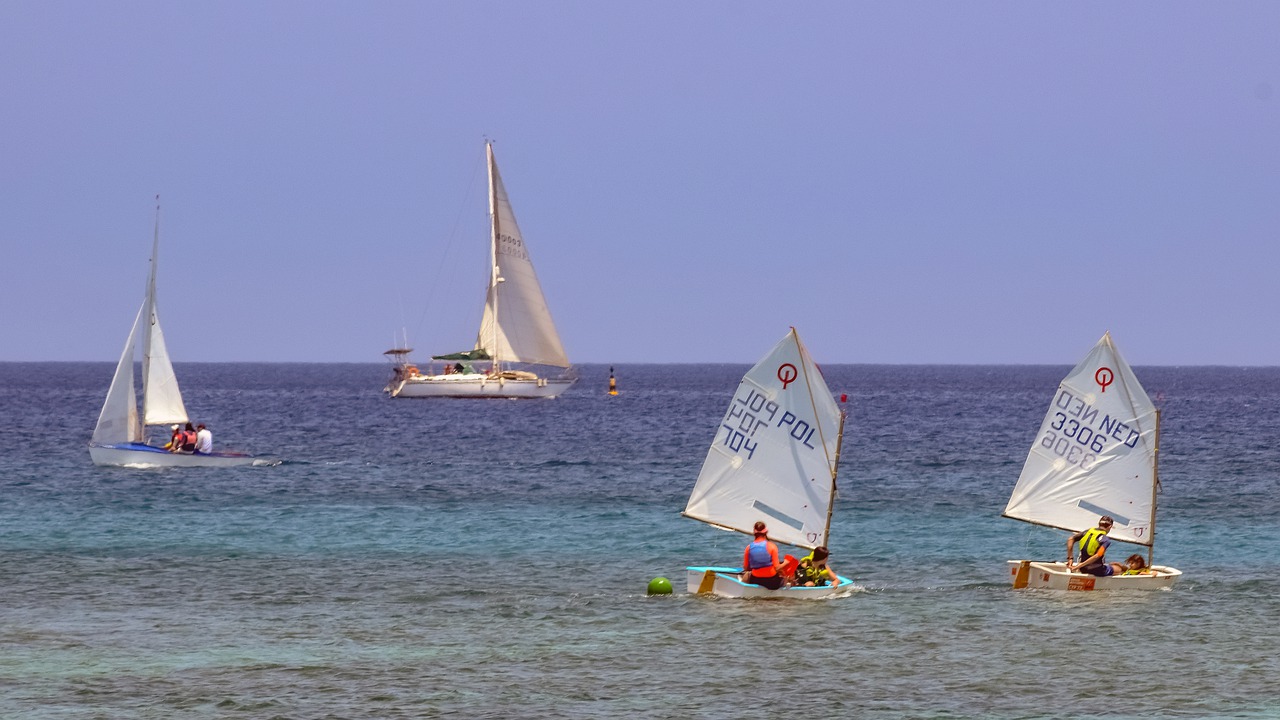 sailing  sea  boat free photo