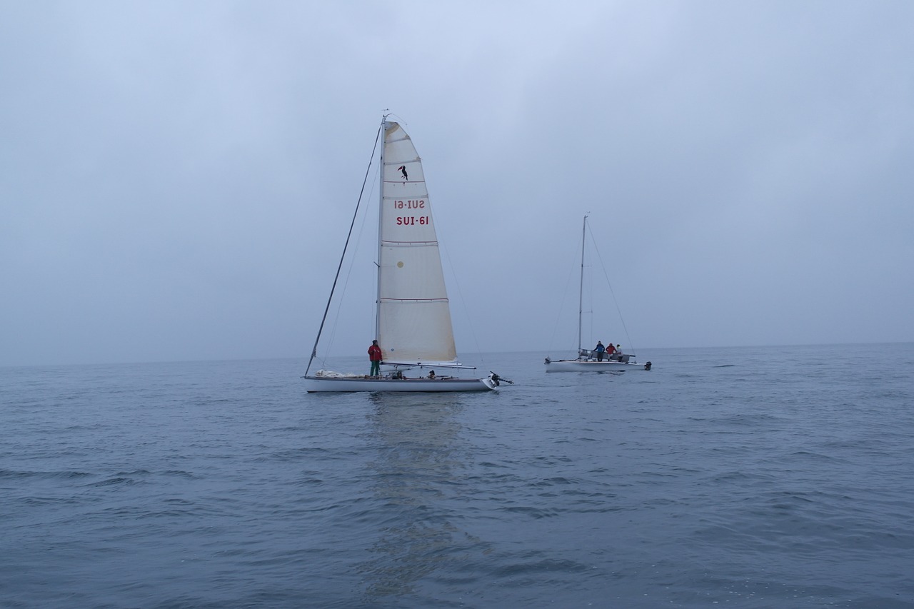 sailing regatta lausanne free photo