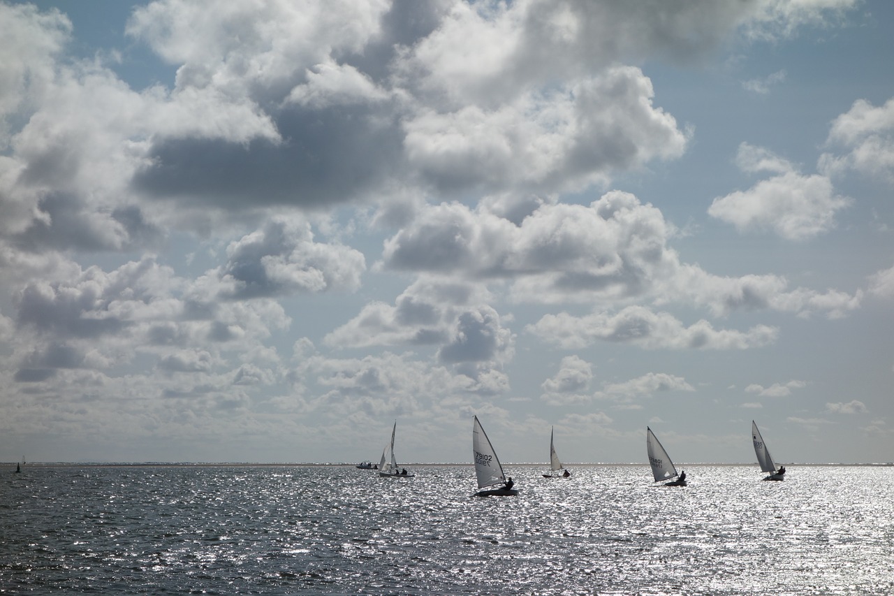 sailing regatta sail free photo