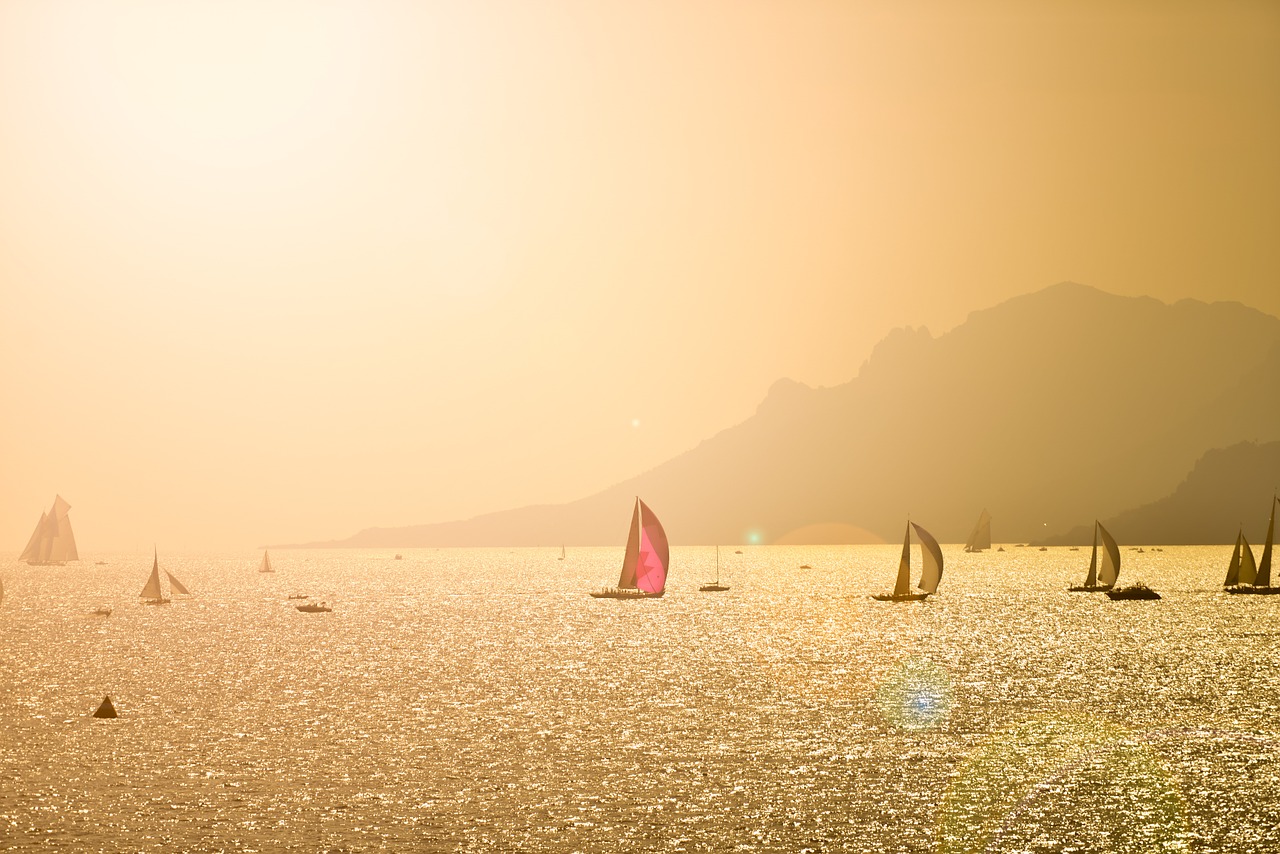 sailing boats sea free photo