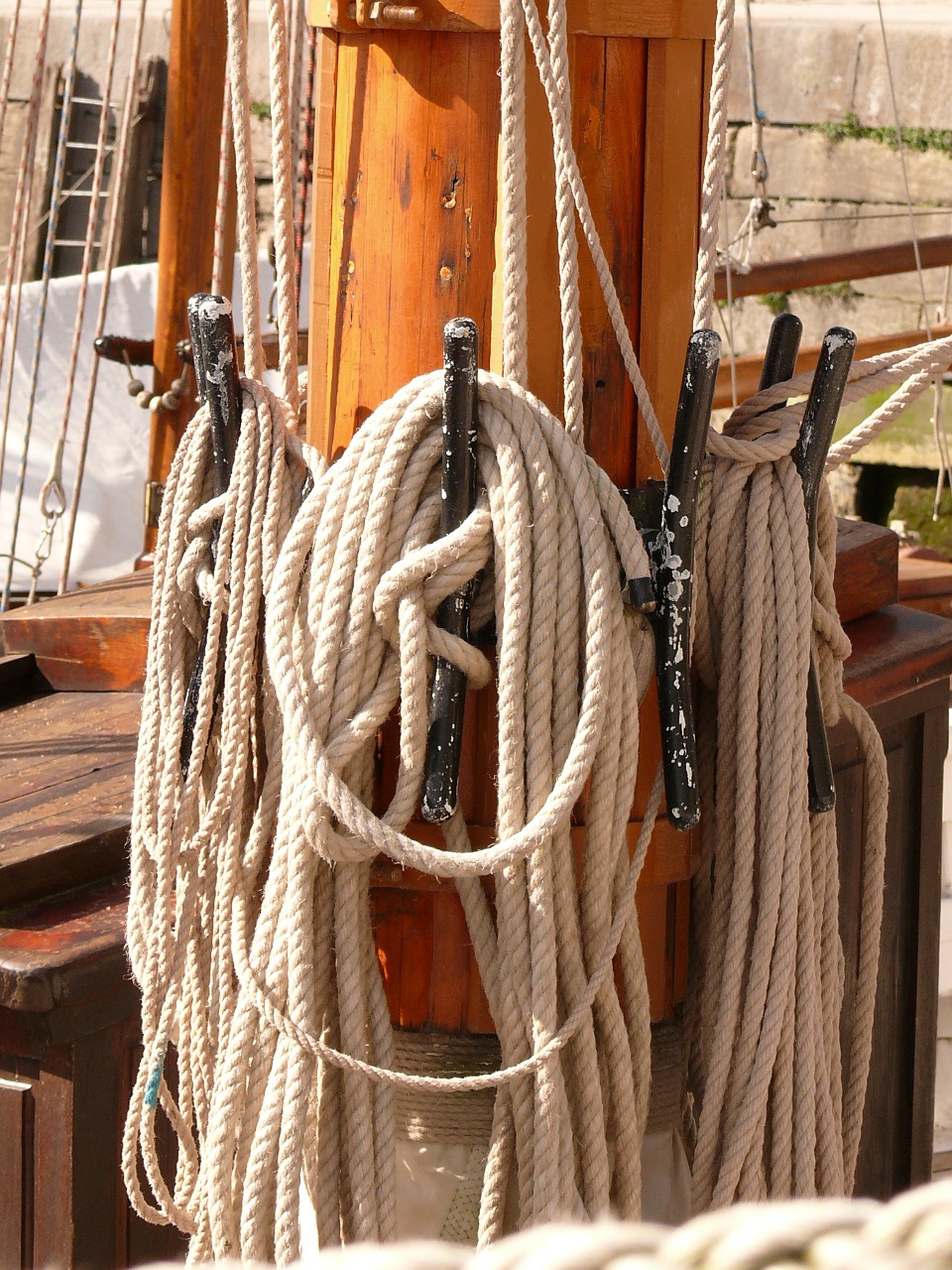 sailing old rig sea free photo