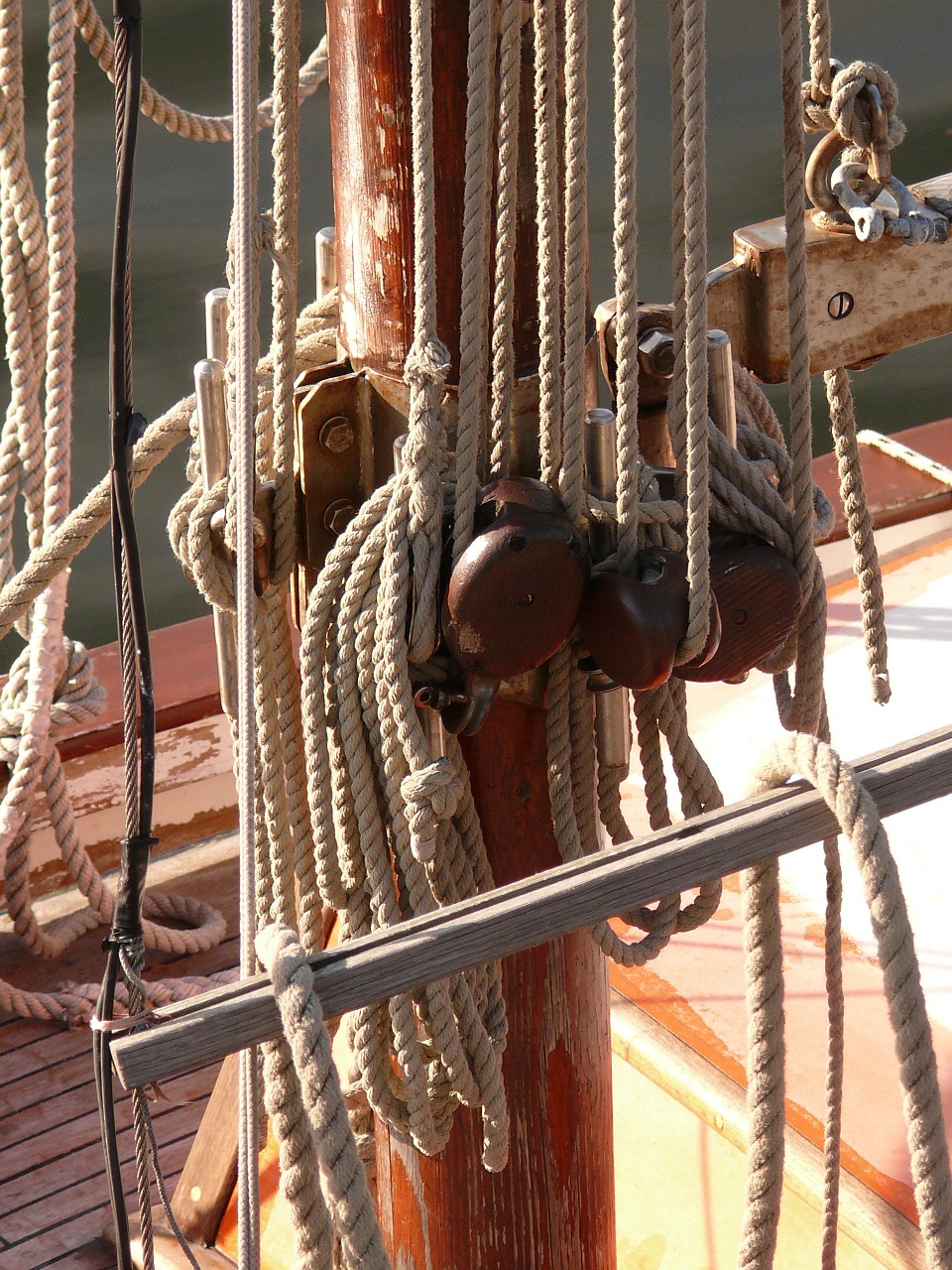 sailing old rig sea free photo