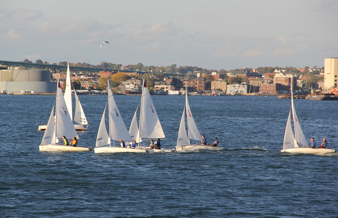 sailing boats bay free photo