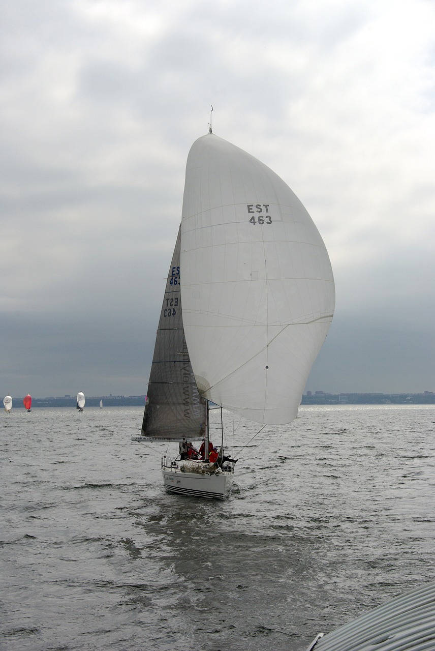 sailing boat sport free photo