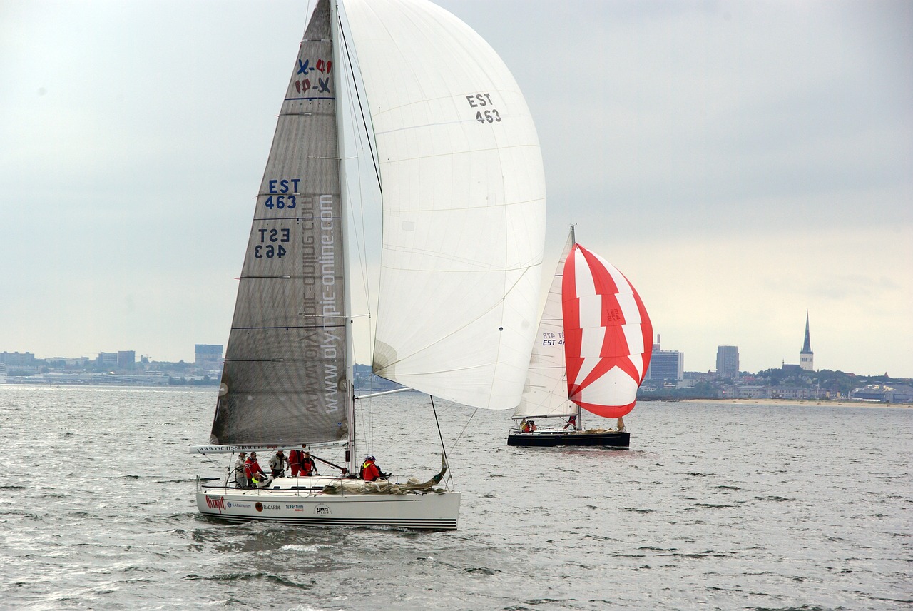 sailing regatta sailboat free photo