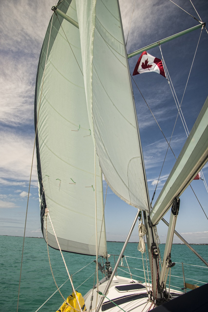 sailing sails boat free photo