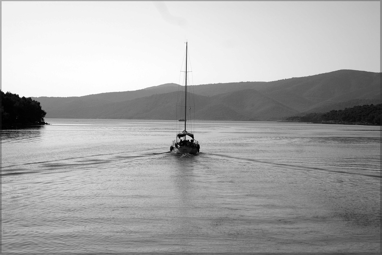 sailing bay black white free photo