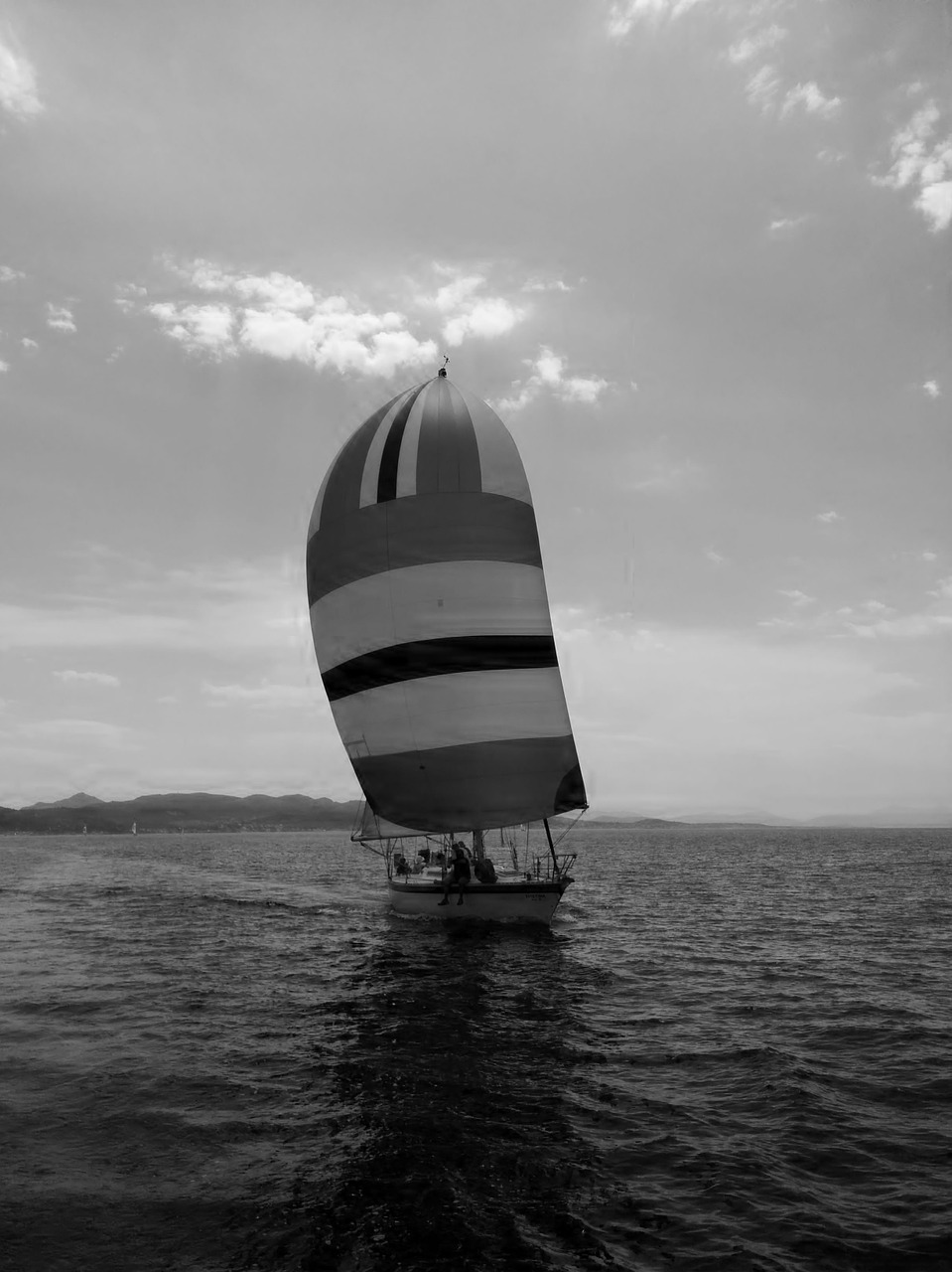 sailing summer yachting free photo