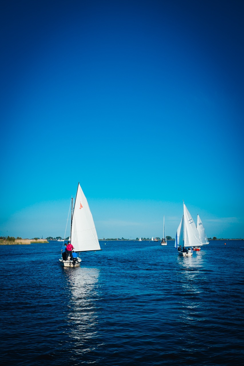 sailing boats sea free photo