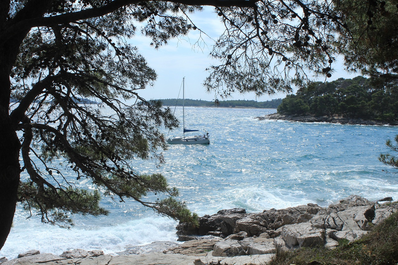 sailing boat sea croatia free photo