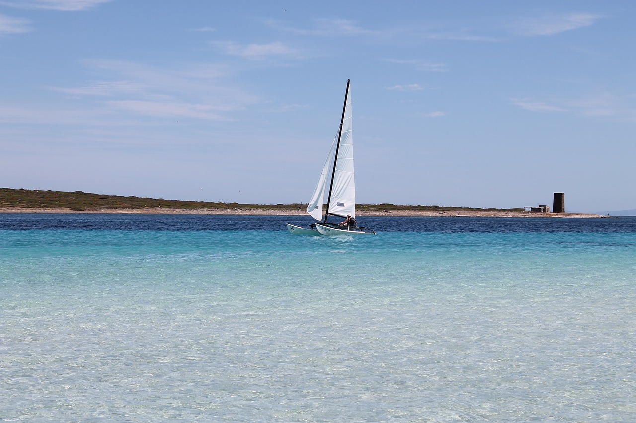 sailing boat water sport sea free photo