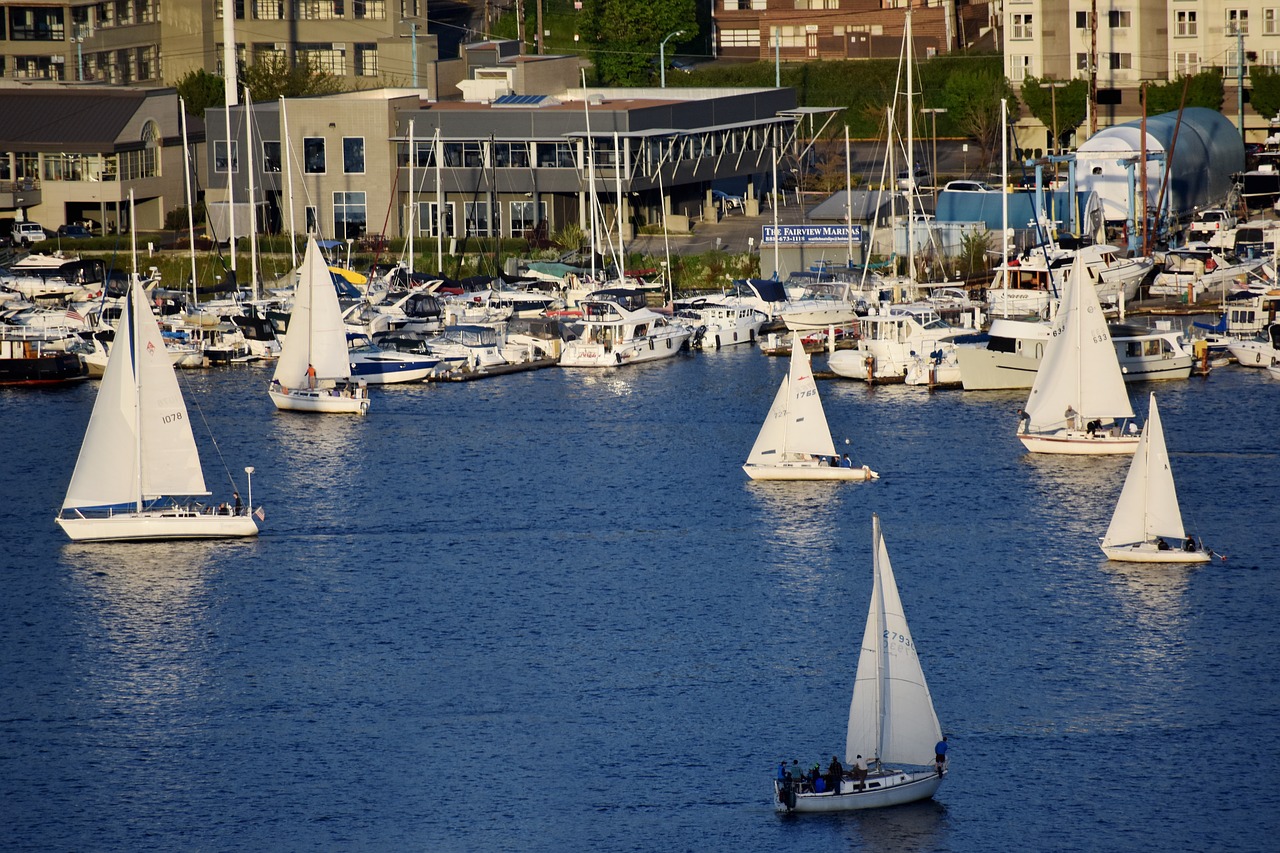 sailing boat sailor lake free photo