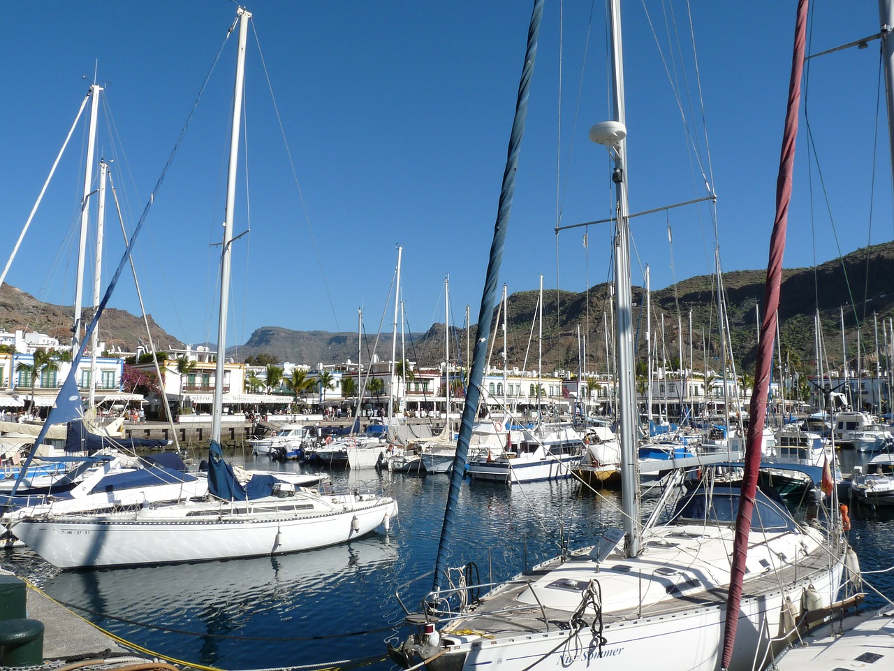 sailing boat canary islands sailing boats free photo