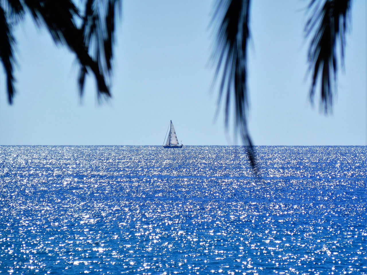 sailing boat sea mediterranean free photo