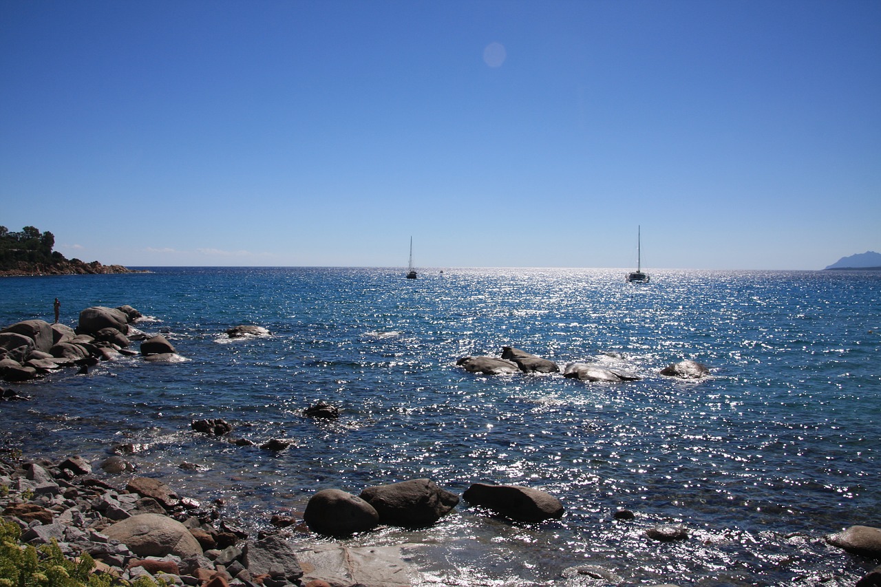 sailing boat sea sail free photo