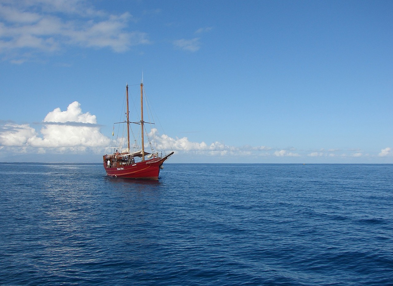 sailing boat body of water sea free photo