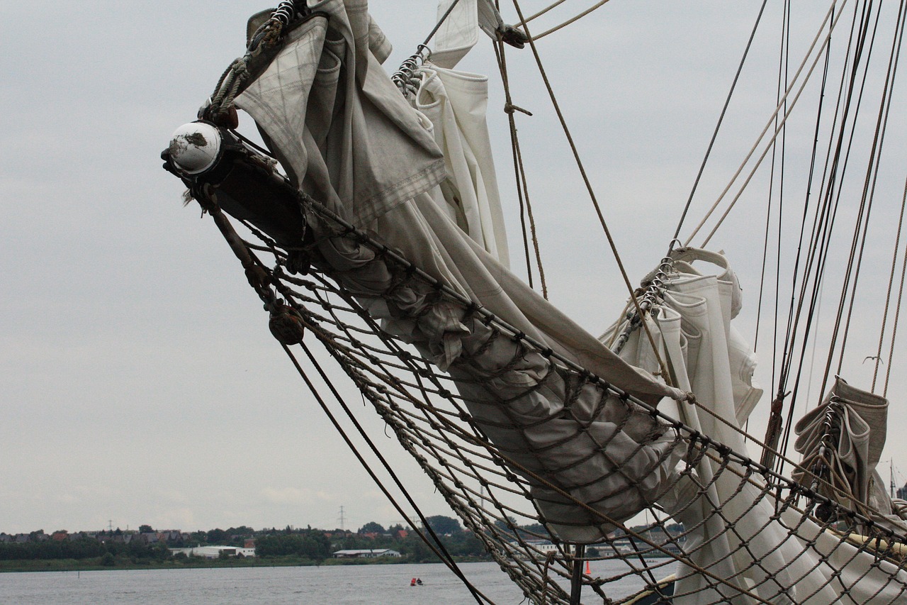 sailing boat sail dew free photo