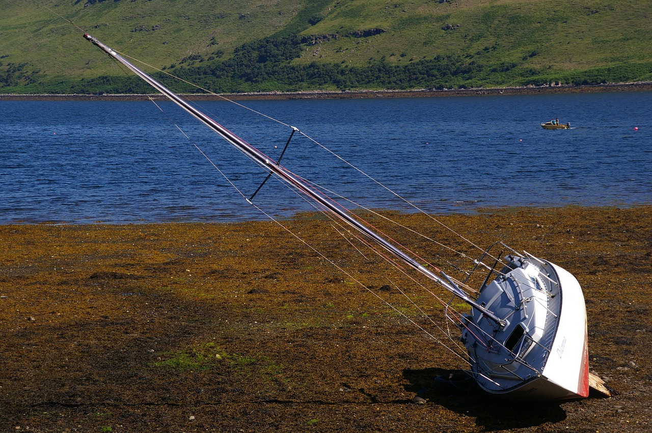 sailing boat  waters  sea free photo