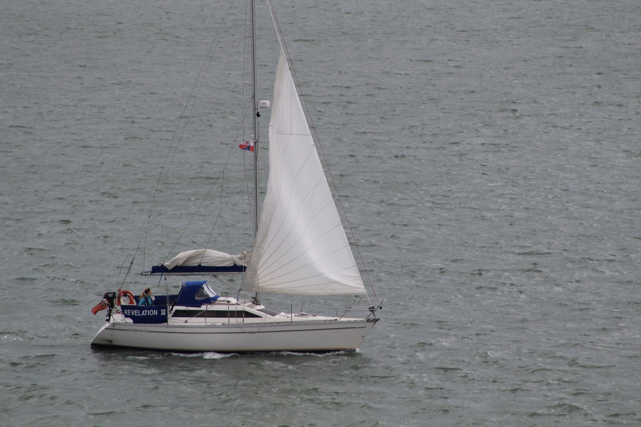 sailing boat  sailing  ocean free photo