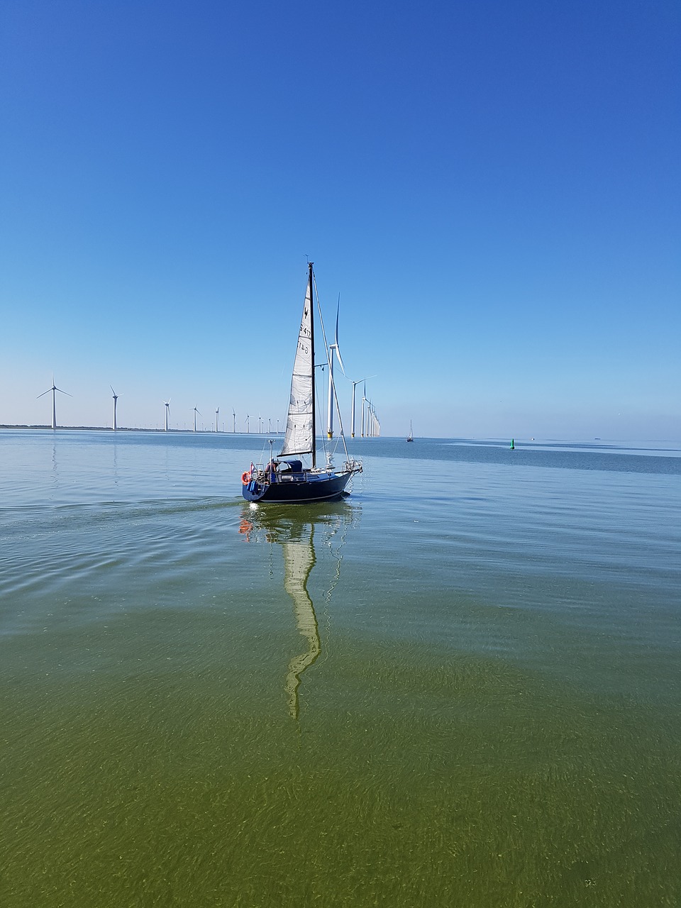 sailing boat  ijsselmeer  water free photo